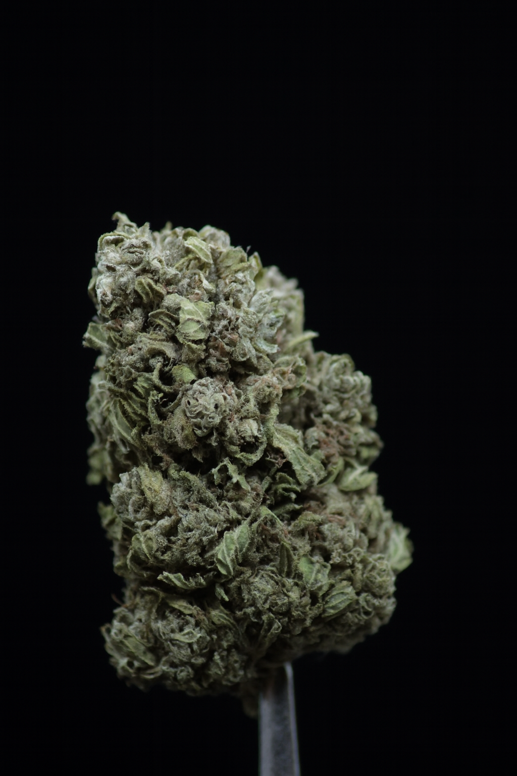 Fruit-G CBG – Image 2