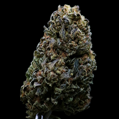 OZ KUSH